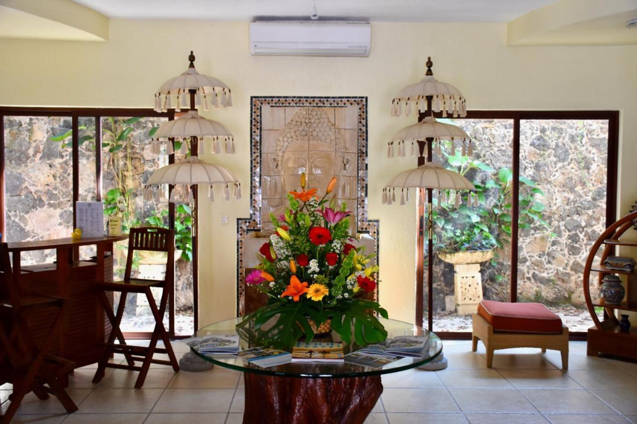 La Buena Vibra Retreat And Spa Hotel (Adults Only) Tepoztlan Ngoại thất bức ảnh
